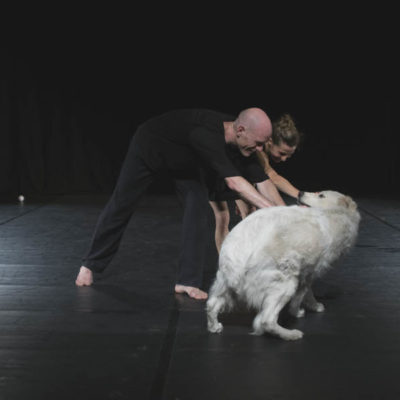 cirkfantastik2019_34